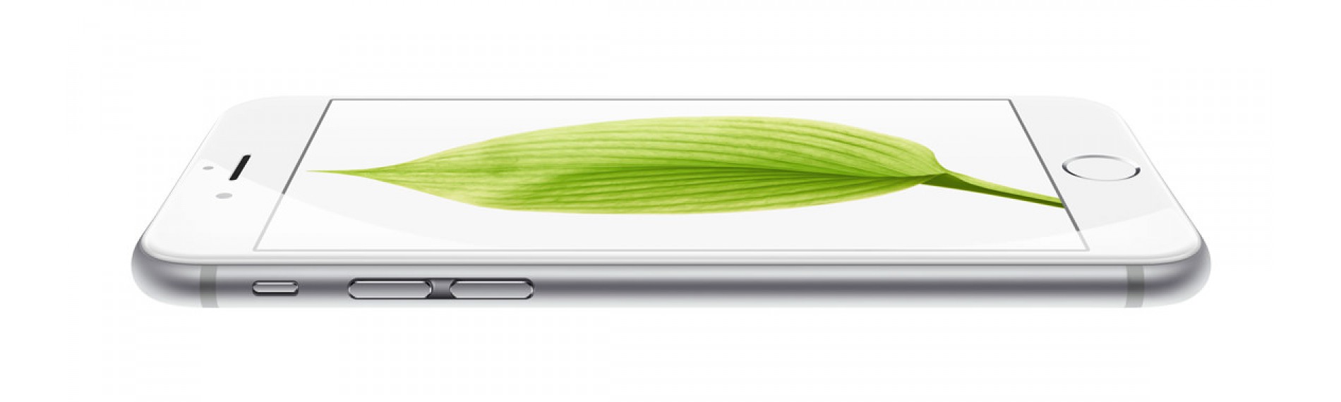 iPhone 6